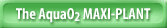 The Aqua O2 Maxi-Plant
