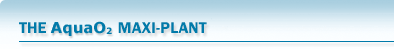 The AquaO2 Maxi Plant