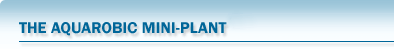 The Aquarobic Mini Plant